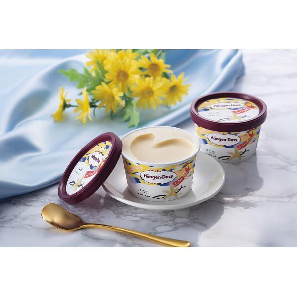ハーゲンダッツ シーズンセレクト