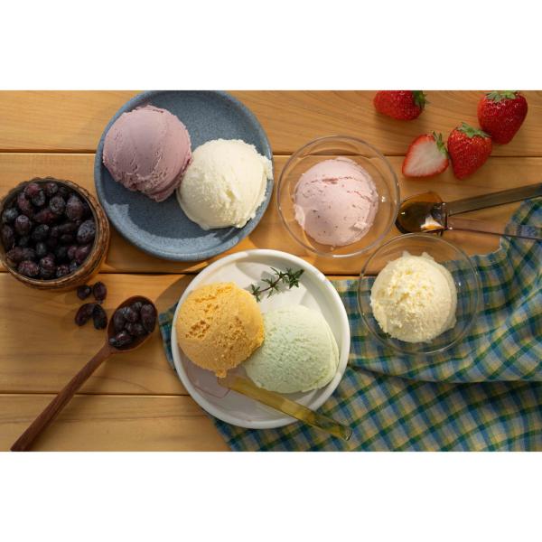 【送料無料】北海道アイスクリーム6種6個 乳蔵 ひんやりスイーツ ジェラート 美味しい グルメ 手土産 差し入れ お土産 人気 ギフト おいしい プレゼント 有名 景品 賞品