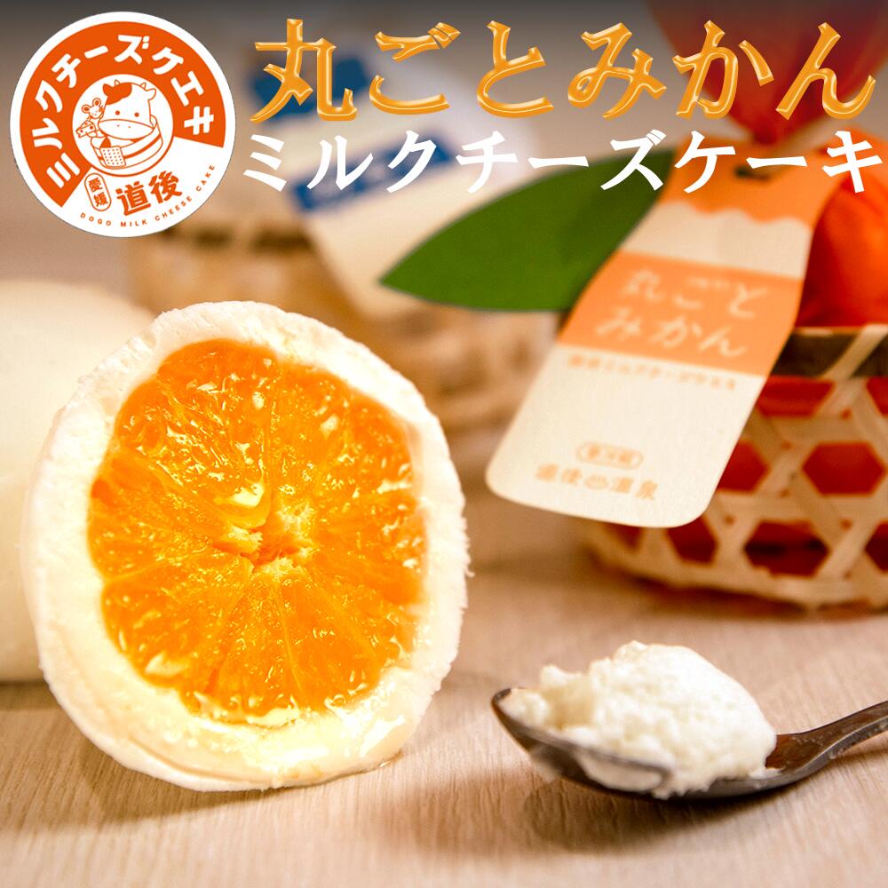 道後ミルクチーズケエキ