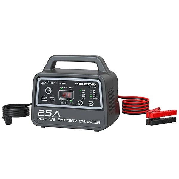 12V 24V バッテリー専用 DC12V DC24V 25A 充電器 2738