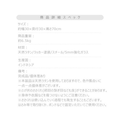 【送料無料】ガラスシェルフ