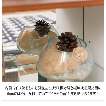 【送料無料】コレクションシェルフ  ロータイプ ブラウン