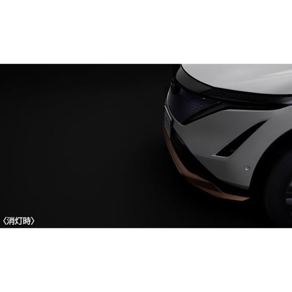FEO系アリア フロントプロジェクションイルミネーション CBDBA B64M0-5MP0A ARIYA NISSAN