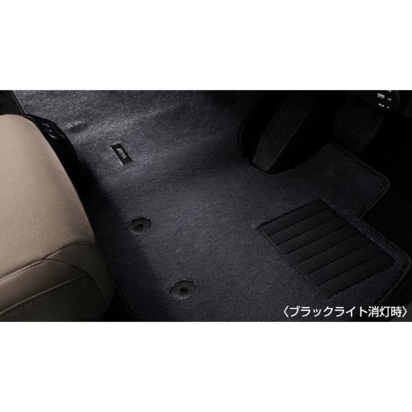FEO系アリア ブラックライトイルミカーペット(ゆらぎ) ARIYA NISSAN