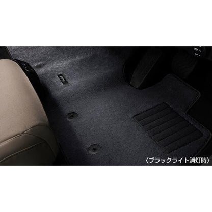 FEO系アリア ブラックライトイルミカーペット(ゆらぎ) ARIYA NISSAN