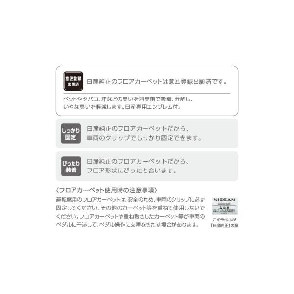 FEO系アリア ブラックライトイルミカーペット(ゆらぎ) ARIYA NISSAN