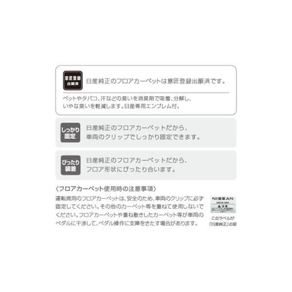 FEO系アリア ブラックライトイルミカーペット(ゆらぎ) ARIYA NISSAN