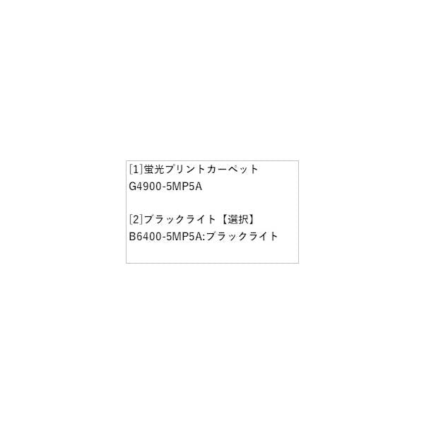 FEO系アリア ブラックライトイルミカーペット(ゆらぎ) ARIYA NISSAN
