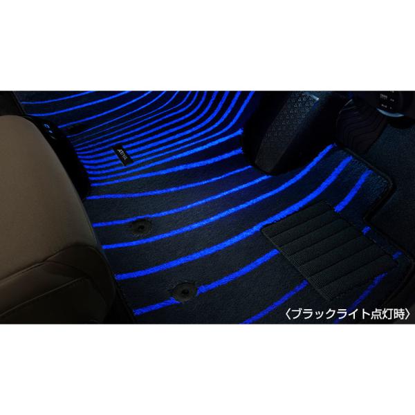 FEO系アリア ブラックライトイルミカーペット(ゆらぎ) ARIYA NISSAN
