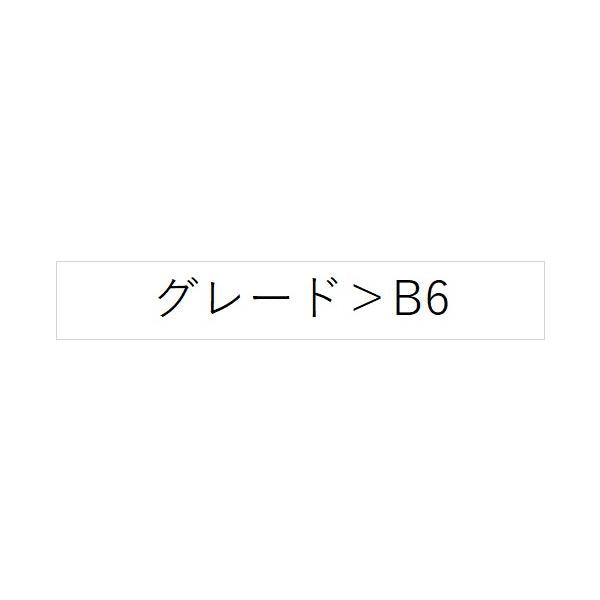 FEO系アリア インカーキャリア CBW00 KE964-5M510 ARIYA NISSAN