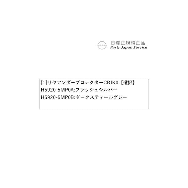 【大型便】FE0系アリア 02.リヤアンダープロテクター CBJK0 ARIYA NISSAN