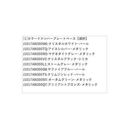 BT5系レガシィ カラードナンバープレートベース LEGACY SUBARU