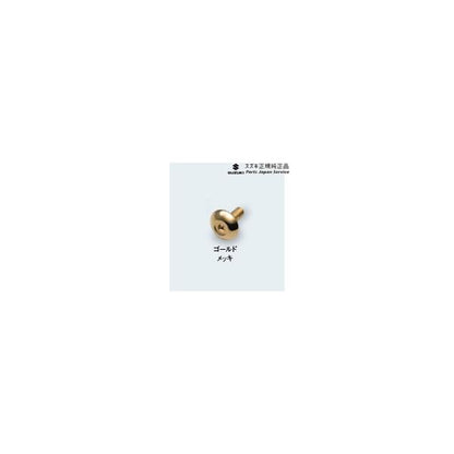 ZCDDS系スイフト 74.ナンバープレート飾りボルト AAMM 99000-99069-534 SWIFT SUZUKI
