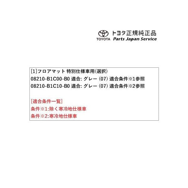 700系パッソ 専用フロアマット トヨタ M700A M710A 700passo TOYOTA