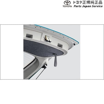 【小型便】200系ライズ バックドアストラップ トヨタ A201A A210A A202A 200raize TOYOTA
