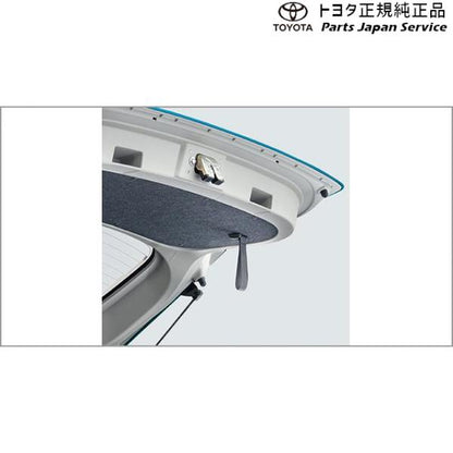 200系ライズ バックドアストラップ トヨタ A201A A210A A202A 200RAIZE TOYOTA