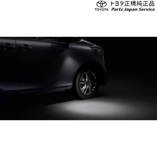 170系シエンタ ウェルカムライト(運転席・助手席)(設定2) トヨタ NSP170G NCP175G NHP170G NSP172G 170sienta TOYOTA