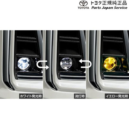 30系ヴェルファイア バイカラーLEDフォグランプ(切り替え式)(設定2) トヨタ AGH30W AGH35W AYH30W 30vellfire TOYOTA