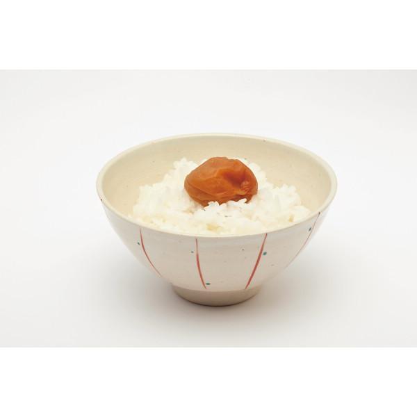 紀州産南高梅　うす塩味（５４０ｇ）