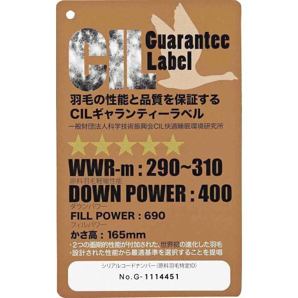 グランフランセヌーベル　２枚合せ羽毛布団（抗菌防臭羽毛使用）
