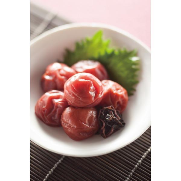 紀州南高梅　しそ漬梅干（１．６ｋｇ）