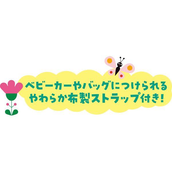 バギーブック３点セット