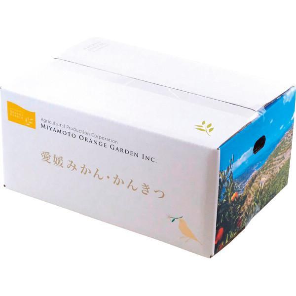 ミヤモトオレンジガーデン　冷凍みかん（皮なし）（１ｋｇ）