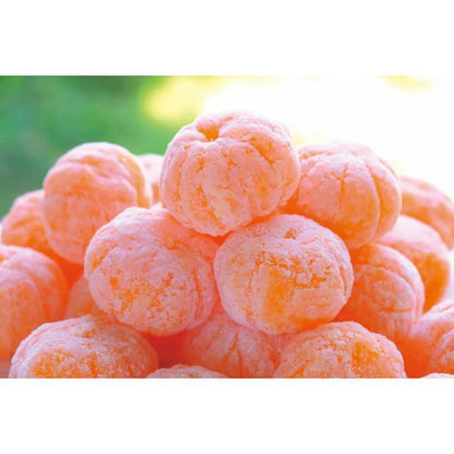 ミヤモトオレンジガーデン　冷凍みかん（皮なし）（１ｋｇ）