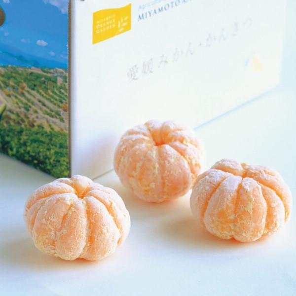 ミヤモトオレンジガーデン　冷凍みかん（皮なし）（１ｋｇ）