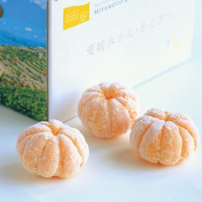 ミヤモトオレンジガーデン　冷凍みかん（皮なし）（１ｋｇ）