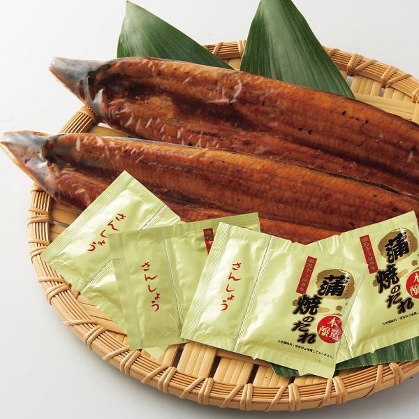 四万十うなぎ蒲焼　特大２尾セット
