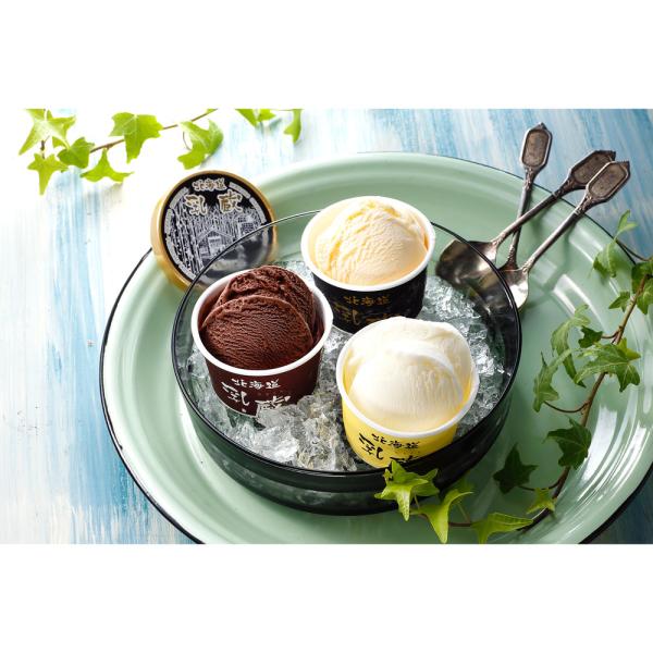 北海道 北海道アイスクリーム３種９個 ひんやりスイーツ ジェラート 乳蔵 美味しい グルメ 手土産 差し入れ お土産 人気 ギフト おいしい プレゼント 有名