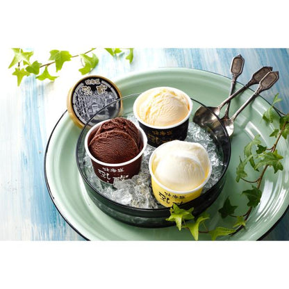 北海道 北海道アイスクリーム３種９個 ひんやりスイーツ ジェラート 乳蔵 美味しい グルメ 手土産 差し入れ お土産 人気 ギフト おいしい プレゼント 有名