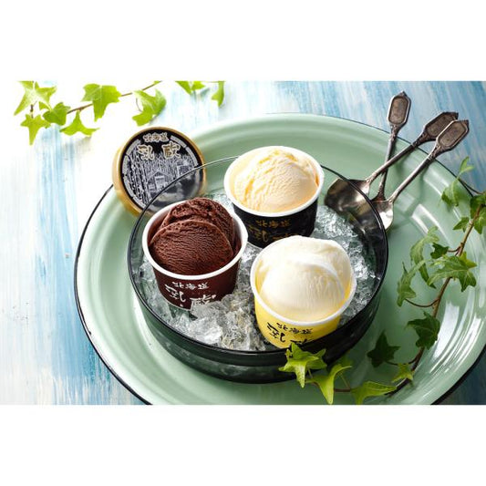 北海道 北海道アイスクリーム３種９個 ひんやりスイーツ ジェラート 乳蔵 美味しい グルメ 手土産 差し入れ お土産 人気 ギフト おいしい プレゼント 有名