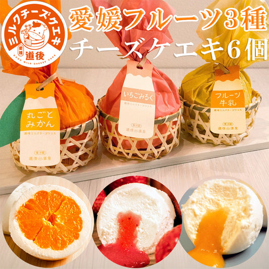 ミルクチーズケーキ 愛媛フルーツ3種6個セット（各２個） 道後ミルクチーズケエキ 冷凍 スイーツ 愛媛